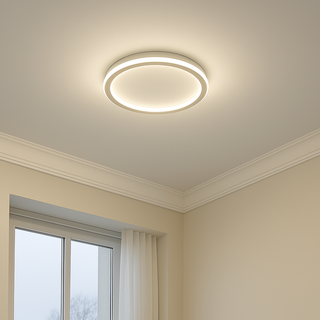 Scandinavian Dimmable LED Ceiling Light Minimalist Modern
