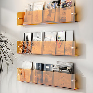 Modern Acrylic Wall-Mounted Bookcase  Floating Shelf