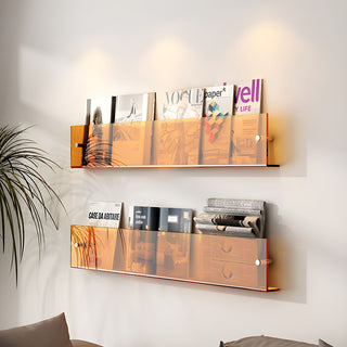 Modern Acrylic Wall-Mounted Bookcase  Floating Shelf