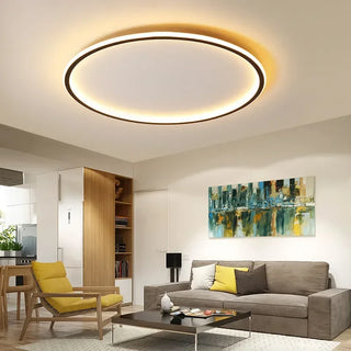 Scandinavian Dimmable LED Ceiling Light Minimalist Modern