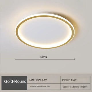 Scandinavian Dimmable LED Ceiling Light Minimalist Modern