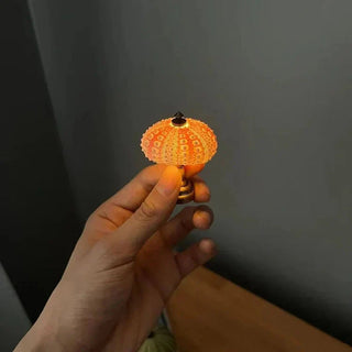Decorative Night Light, Sea Urchin Design
