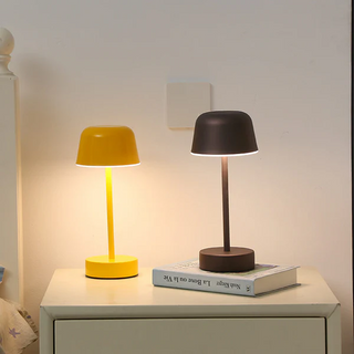 Vibrant Light Accessory, Dynamic Illumination
