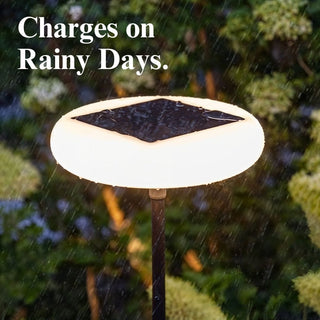 Outdoor Solar Lamp, Stylish Design