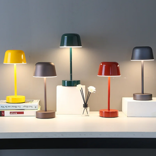 Vibrant Light Accessory, Dynamic Illumination