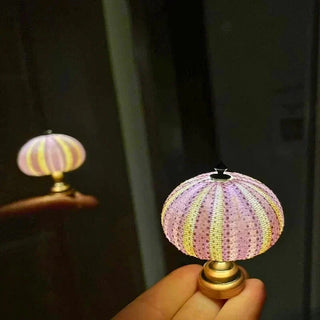Decorative Night Light, Sea Urchin Design