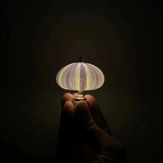 Decorative Night Light, Sea Urchin Design