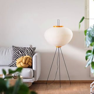 Translucent Paper Floor Lamp, Soft Glow