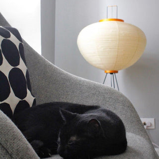 Translucent Paper Floor Lamp, Soft Glow