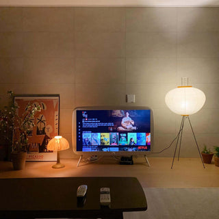 Translucent Paper Floor Lamp, Soft Glow