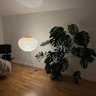 Translucent Paper Floor Lamp, Soft Glow