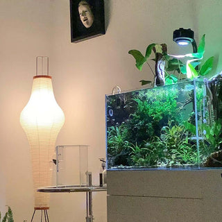Translucent Paper Floor Lamp, Soft Glow
