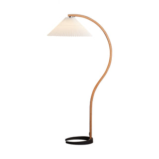 Modern Floor Lamp, Stylish Design