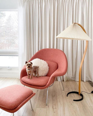 Modern Floor Lamp, Stylish Design