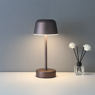 Vibrant Light Accessory, Dynamic Illumination
