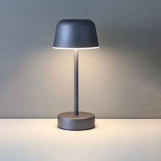 Vibrant Light Accessory, Dynamic Illumination