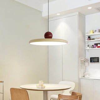 Contemporary Pendant Lamp, Stylish Design