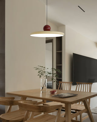 Contemporary Pendant Lamp, Stylish Design