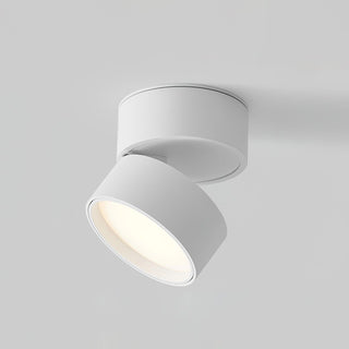 Modern Ceiling Light Fixture, Sleek Design