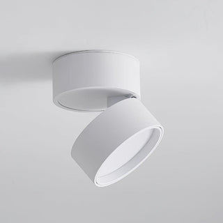 Modern Ceiling Light Fixture, Sleek Design