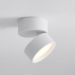 Modern Ceiling Light Fixture, Sleek Design
