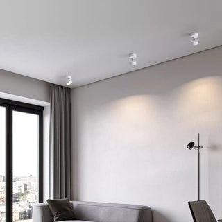 Modern Surface Ceiling Light, Sleek Design