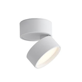 Modern Surface Ceiling Light, Sleek Design