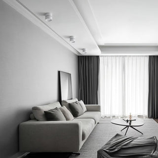 Modern Surface Ceiling Light, Sleek Design