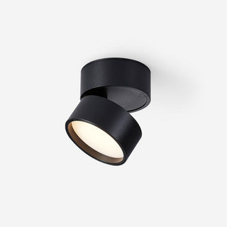 Modern Surface Ceiling Light, Sleek Design