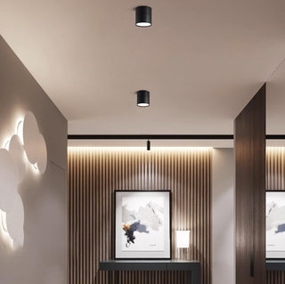 Modern Surface Ceiling Light, Sleek Design