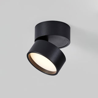 Modern Surface Ceiling Light, Sleek Design