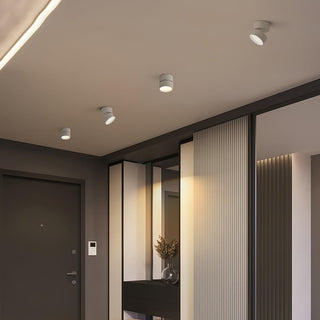 Modern Surface Ceiling Light, Sleek Design