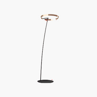 Scandinavian LED Floor Lamp, Modern Design