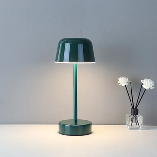 Vibrant Light Accessory, Dynamic Illumination
