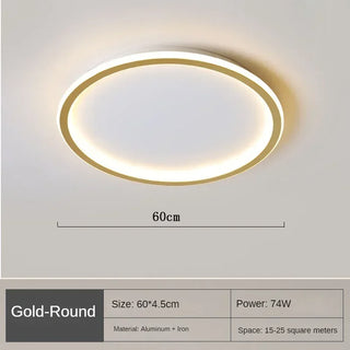 Scandinavian Dimmable LED Ceiling Light Minimalist Modern