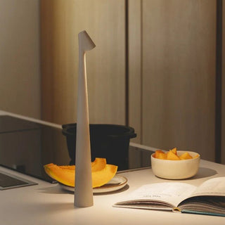 Compact portable lamp, versatile design