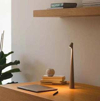 Compact portable lamp, versatile design