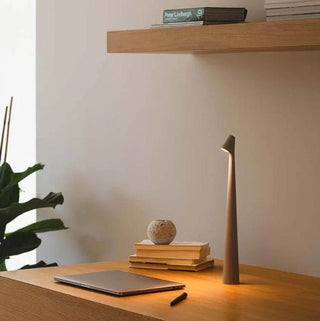 Compact portable lamp, versatile design