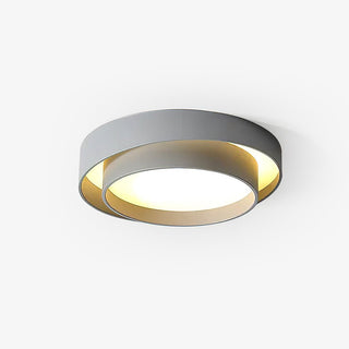 Charming Ceiling Light Fixture, Modern Design