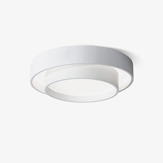 Charming Ceiling Light Fixture, Modern Design