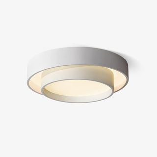 Charming Ceiling Light Fixture, Modern Design