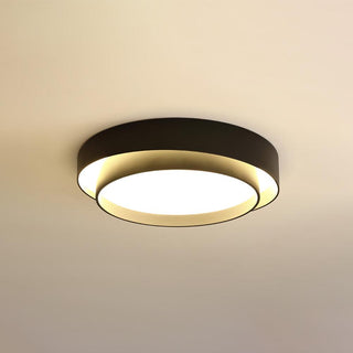 Charming Ceiling Light Fixture, Modern Design