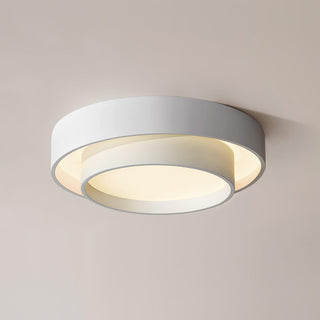Charming Ceiling Light Fixture, Modern Design