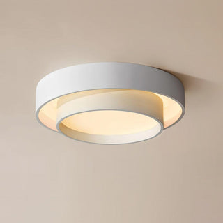 Charming Ceiling Light Fixture, Modern Design
