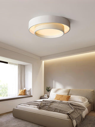Charming Ceiling Light Fixture, Modern Design