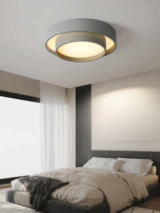 Charming Ceiling Light Fixture, Modern Design