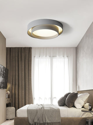 Charming Ceiling Light Fixture, Modern Design
