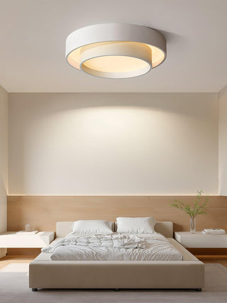 Charming Ceiling Light Fixture, Modern Design