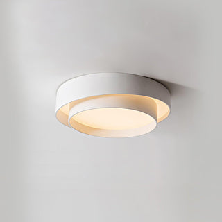 Charming Ceiling Light Fixture, Modern Design