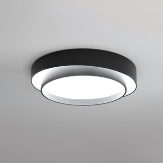 Charming Ceiling Light Fixture, Modern Design